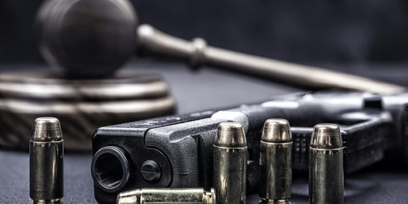 Gavel and gun rights