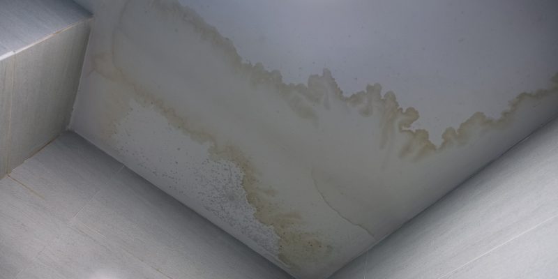 Water stain on the ceiling